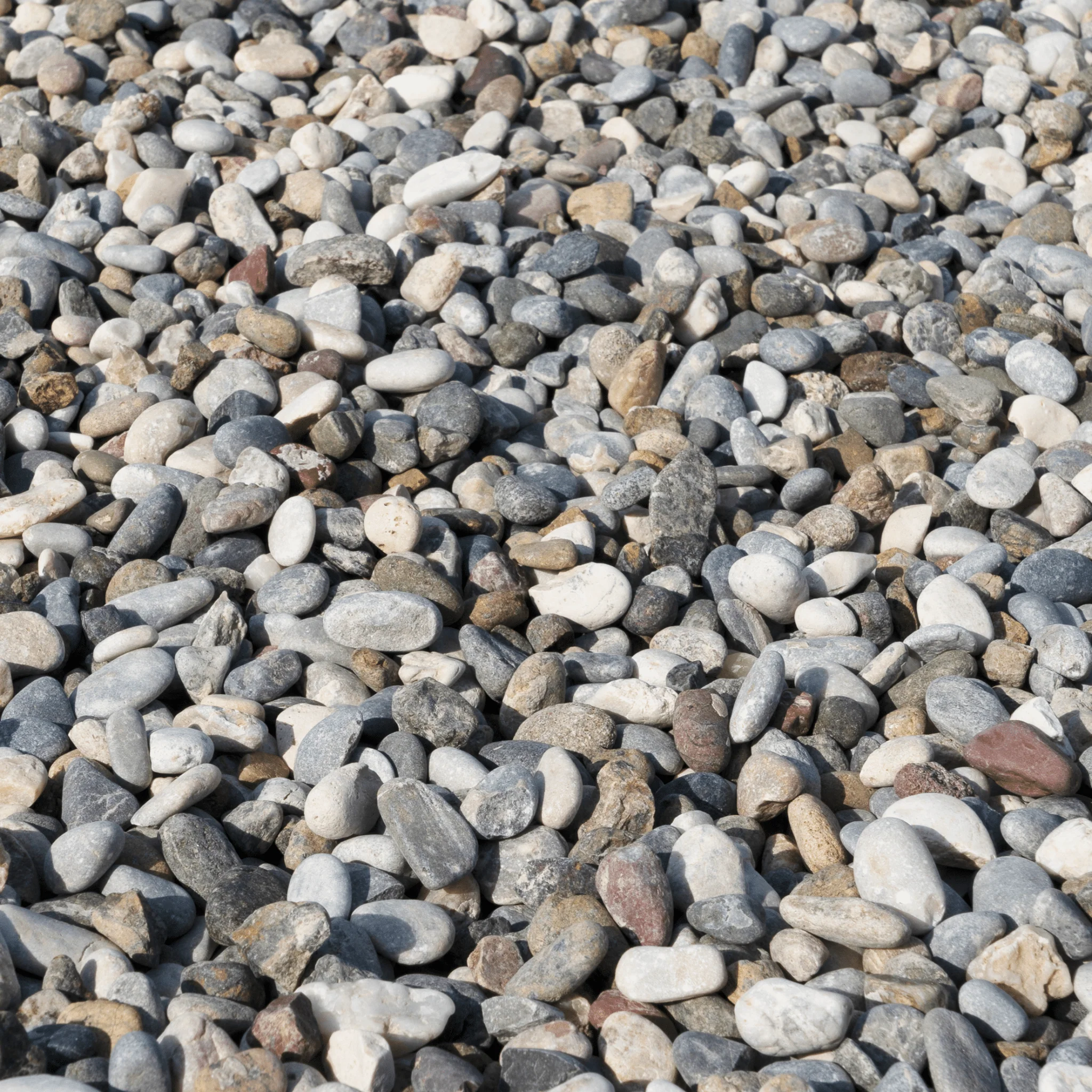 Miniatyrbild 1